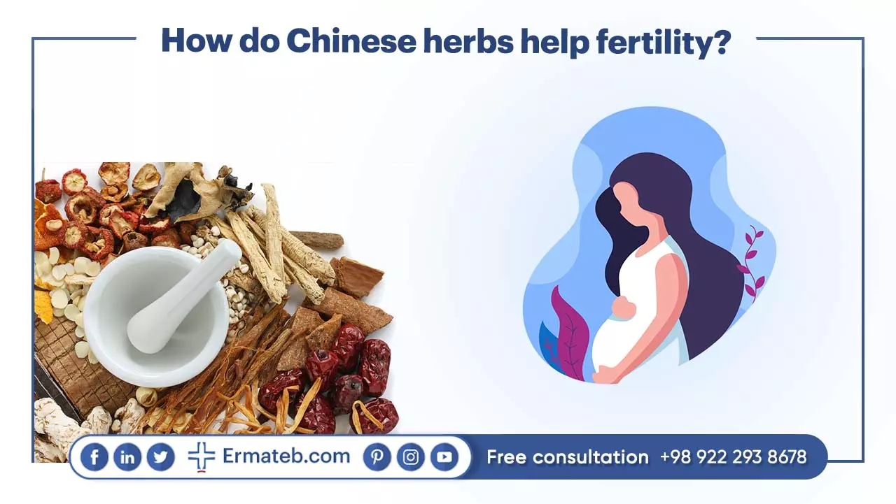 How do Chinese herbs help fertility?