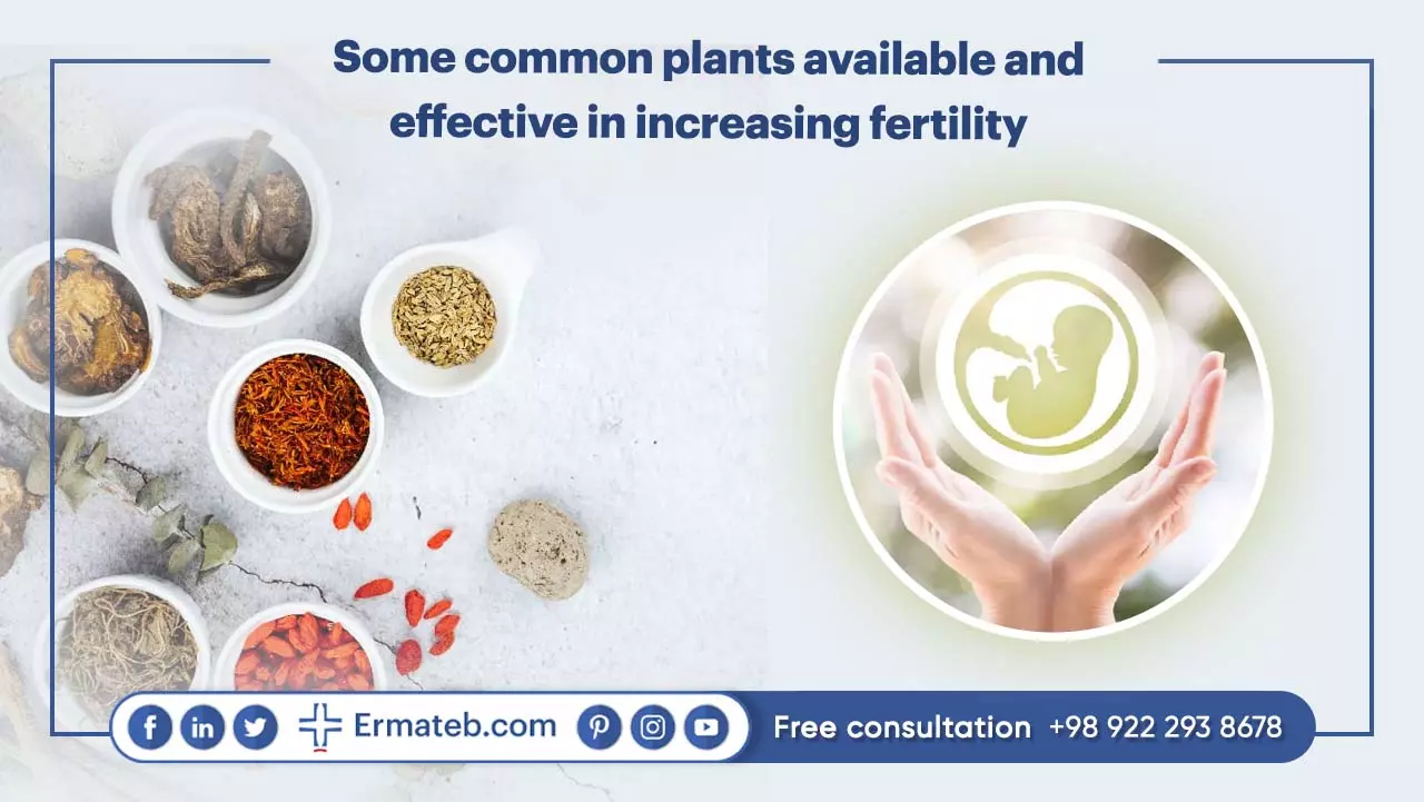 Some common plants available and effective in increasing fertility