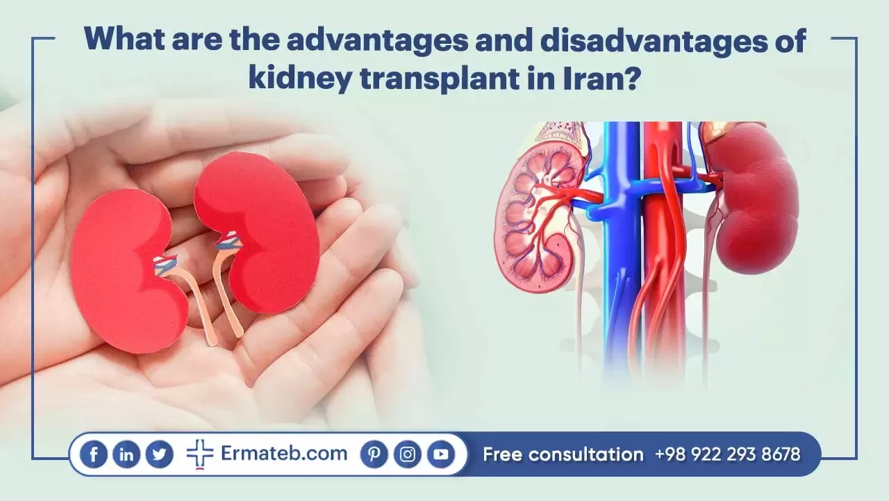 What are the advantages and disadvantages of kidney transplant in Iran?