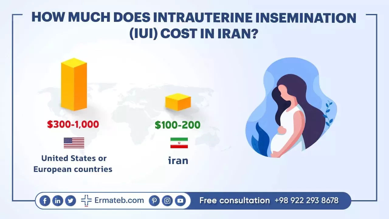 HOW MUCH DOES INTRAUTERINE INSEMINATION (IUI) COST IN IRAN?