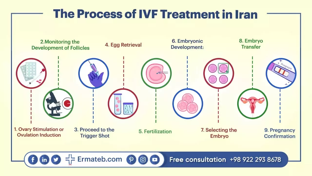 The Process of IVF Treatment in Iran