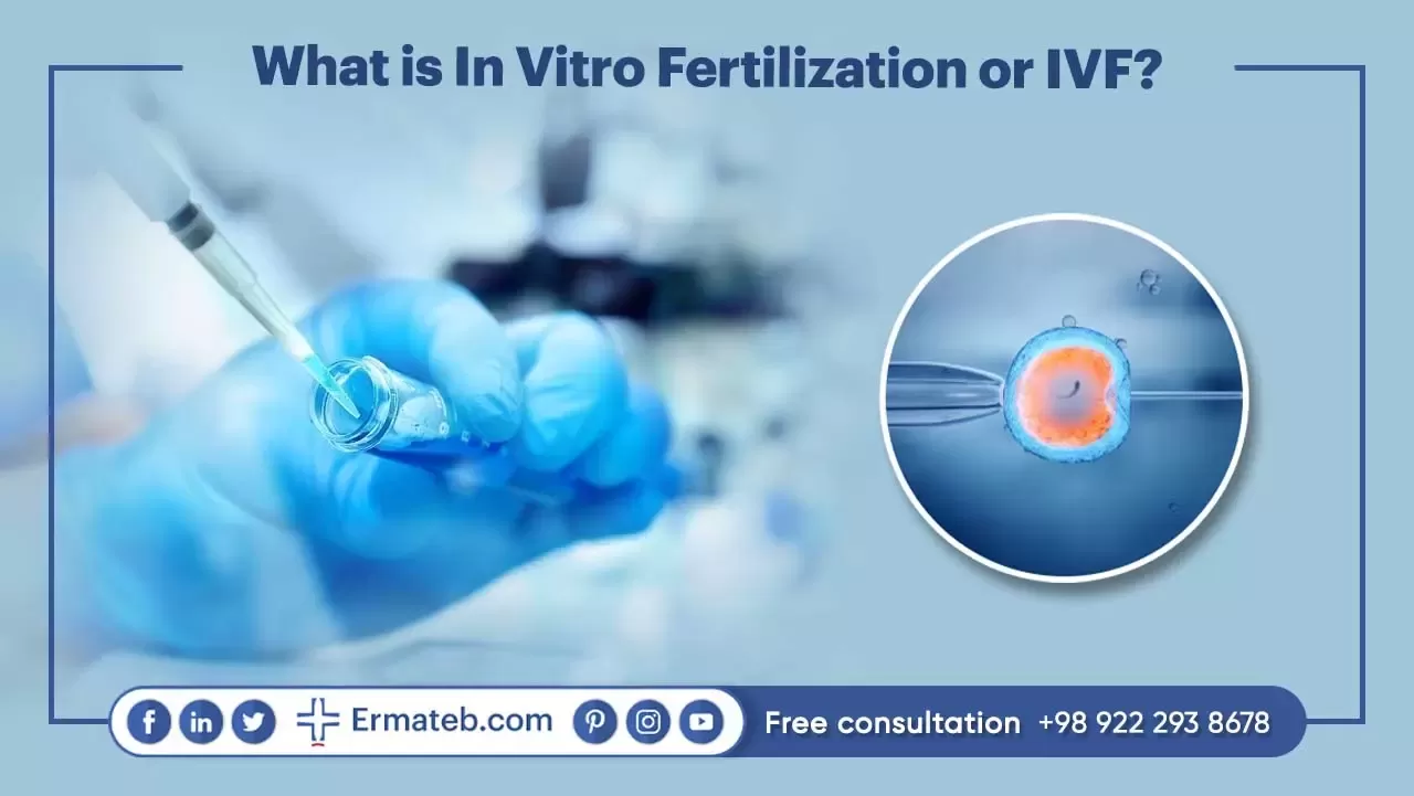 What is In Vitro Fertilization or IVF?