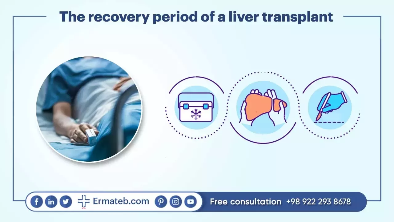 The recovery period of a liver transplant