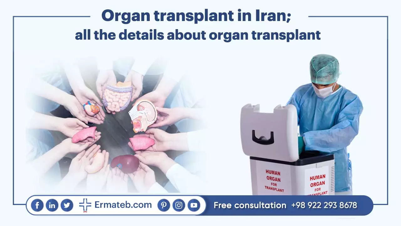 Organ transplant in Iran; all the details about organ transplant