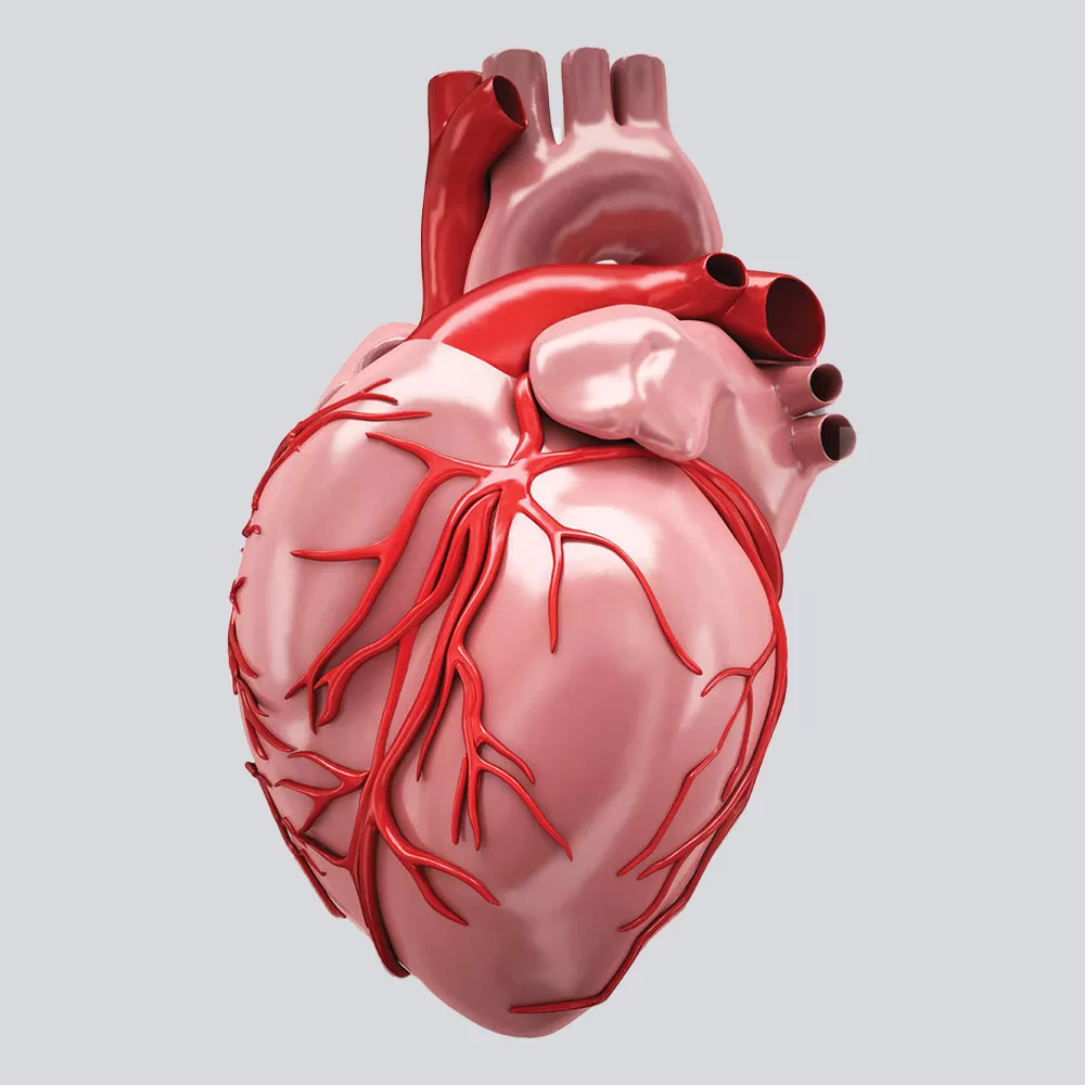 Heart Bypass Surgery in Iran