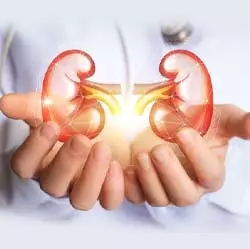 Kidney Transplant In Iran