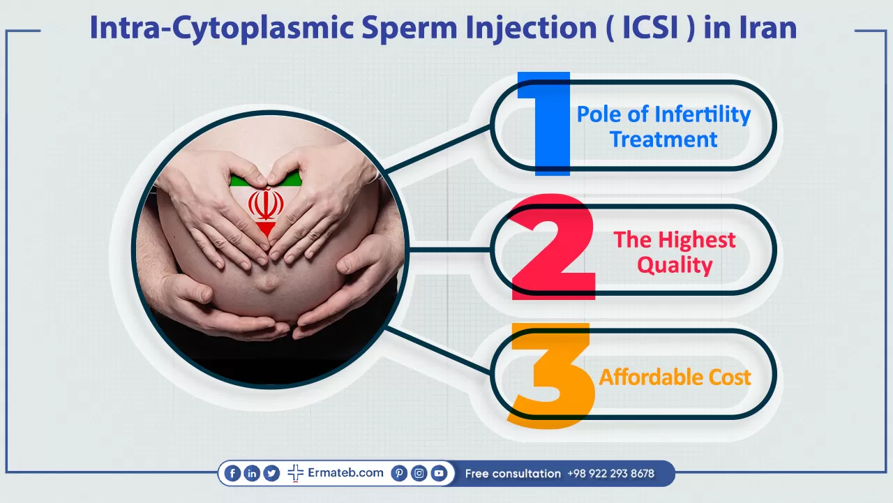 What is ICSI Treatment?